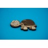 Magnet Tortue